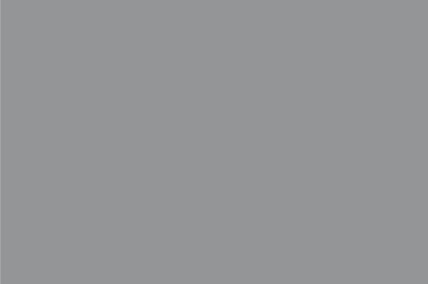 6038 - Matte & Glossy PVC Panel