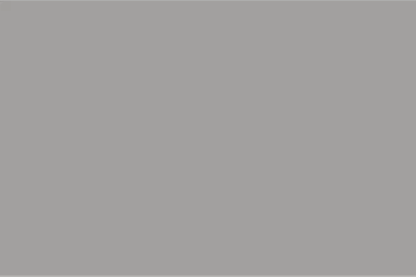 S038 - Matte & Glossy PVC Panel